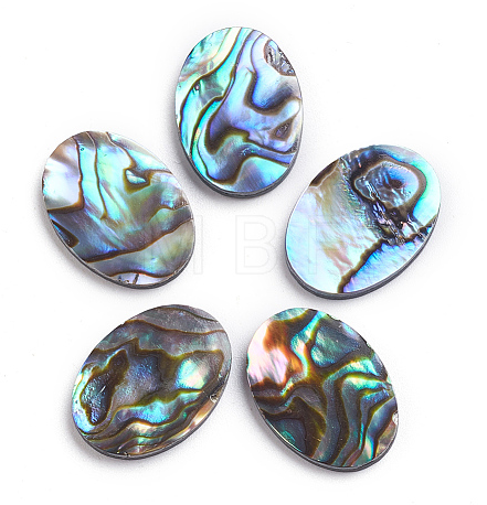 Abalone gem cheap